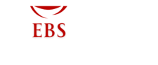 Enigma Business School Logo White